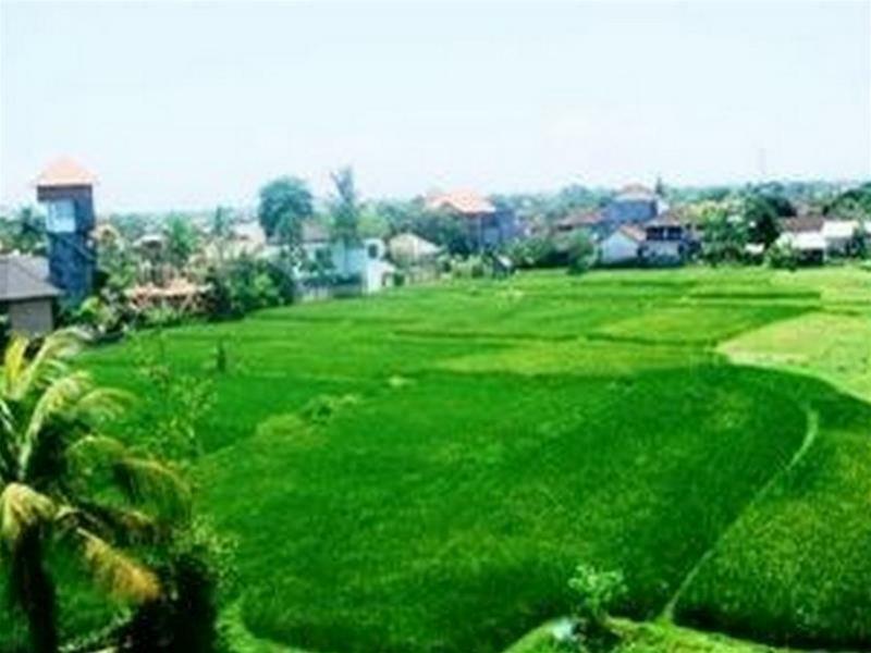 Nuriani Guest House Ubud  Bagian luar foto